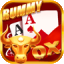 rummy joy